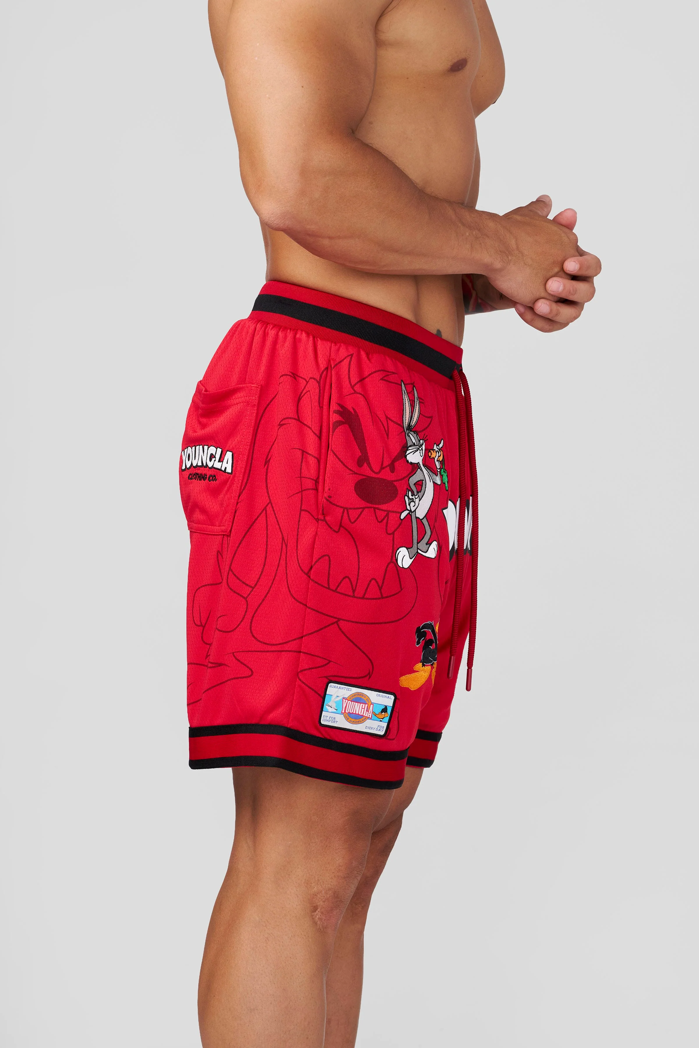 1071 - Looney Tunes Embroidered Patch Shorts - July 7th - Image 3