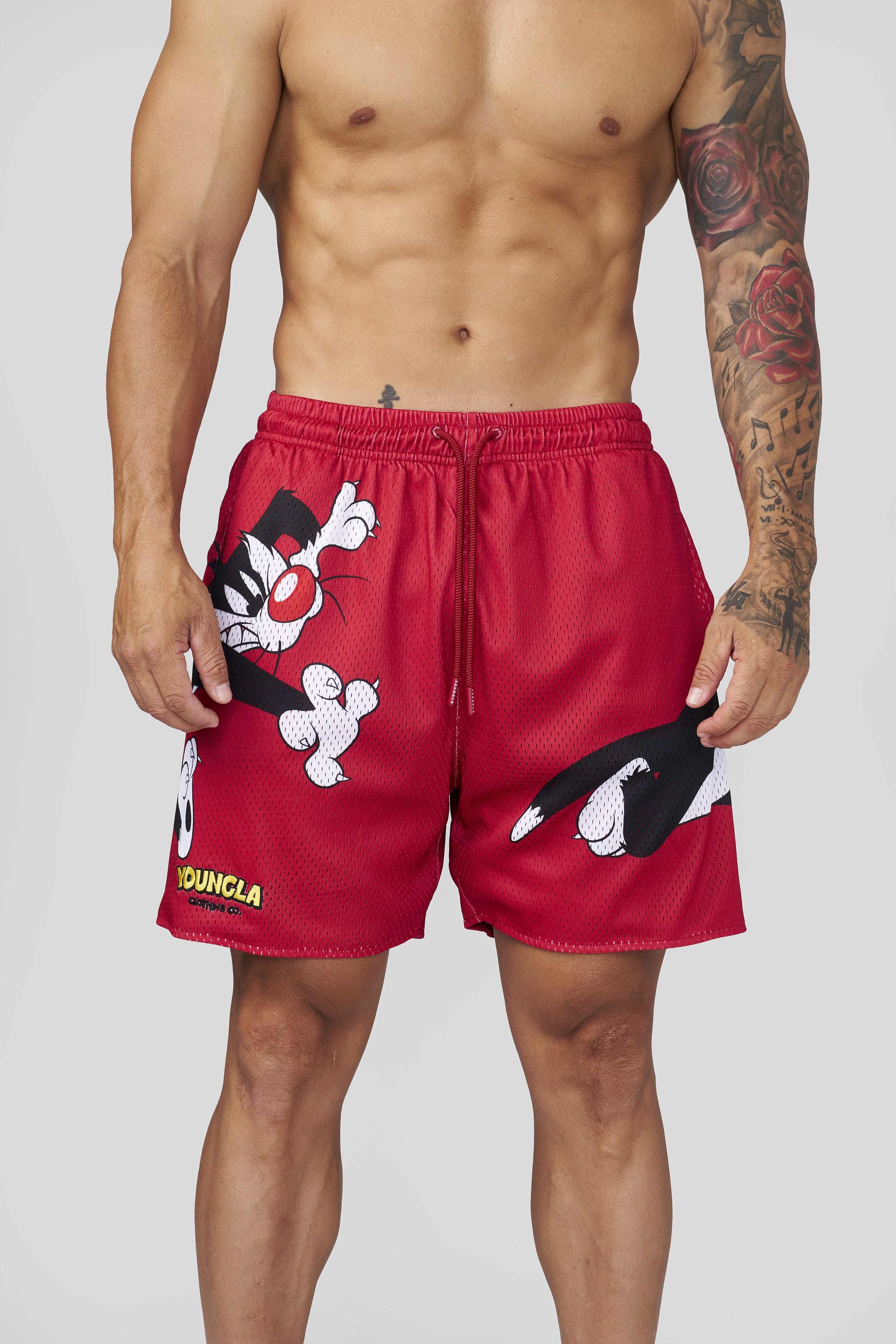 1098 - Looney Tunes Basketball Shorts - July 7th - Image 5