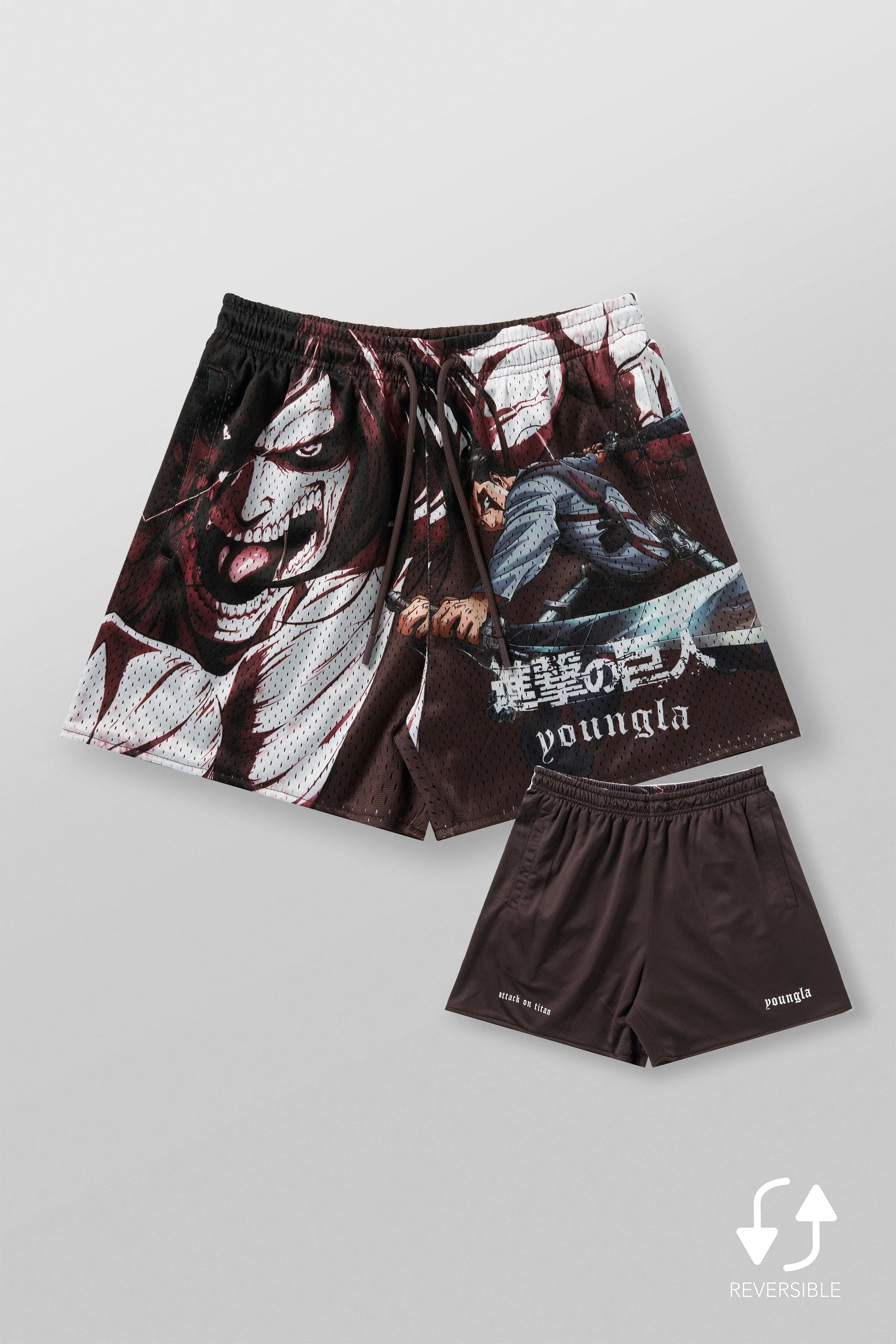 1126 - AOT© x YLA Mesh Shorts - Image 8
